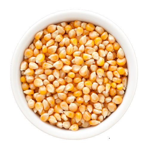 Grains