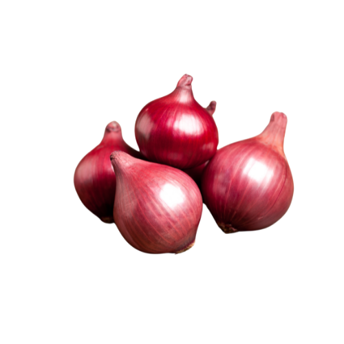Onions from The Best Agri Export