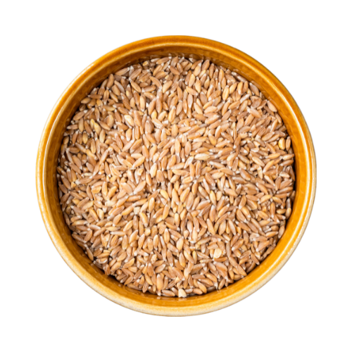 Wheat from The Best Agri Export